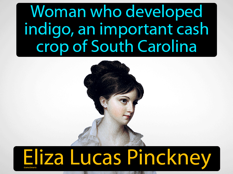 Eliza Lucas Pinckney Definition