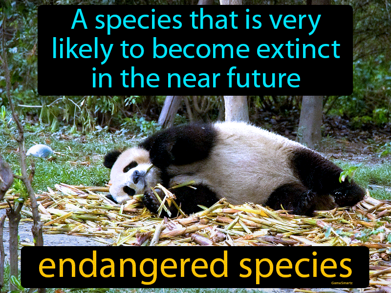 Endangered Species Definition