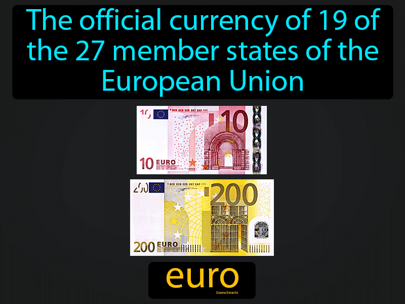 Euro Definition