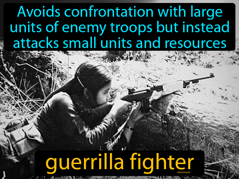 Guerrilla Fighter Definition