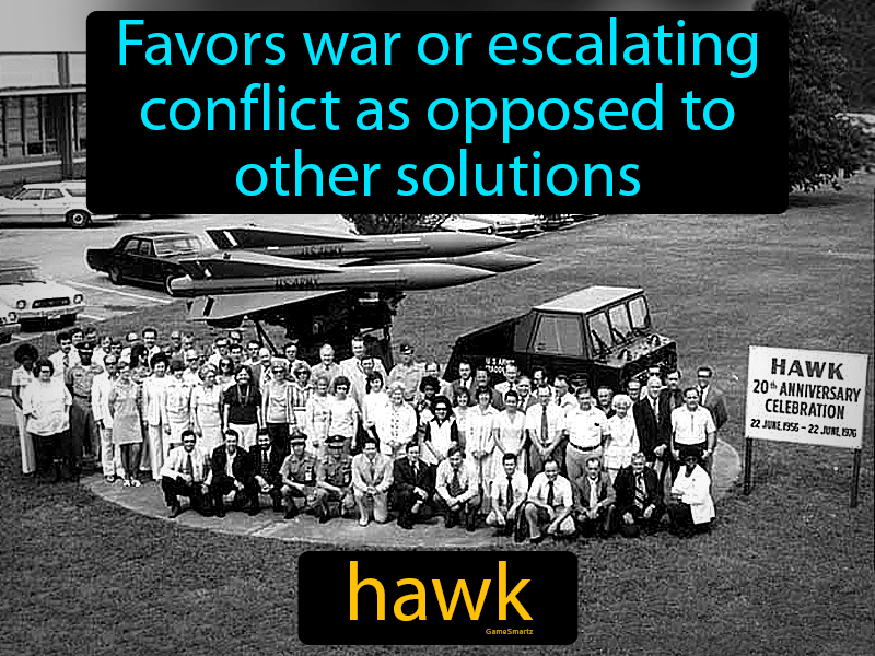Hawk Definition