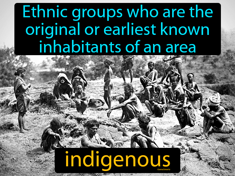Indigenous Definition