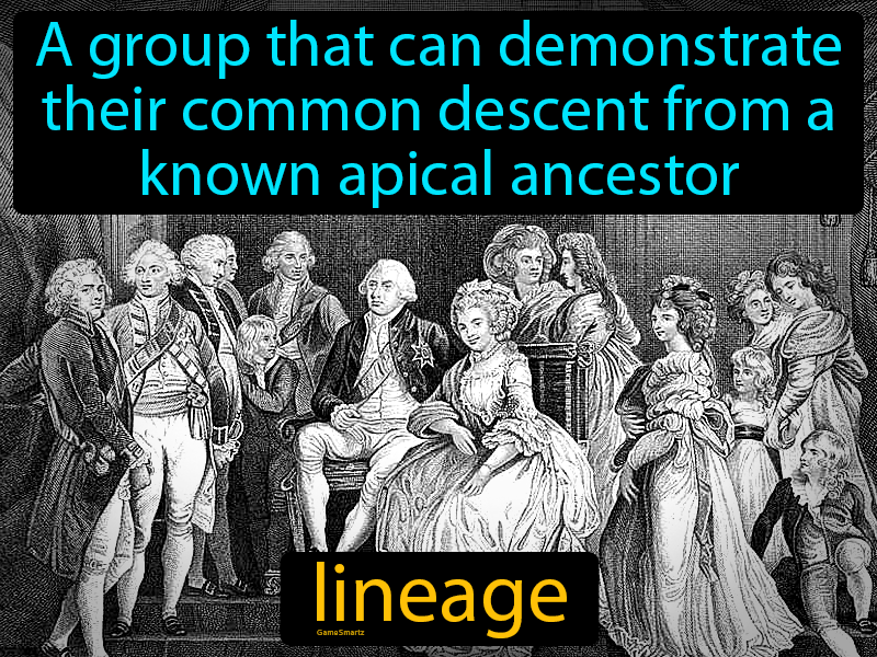 Lineage Definition