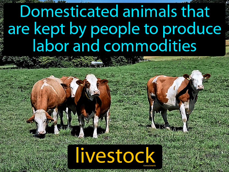 Livestock Definition