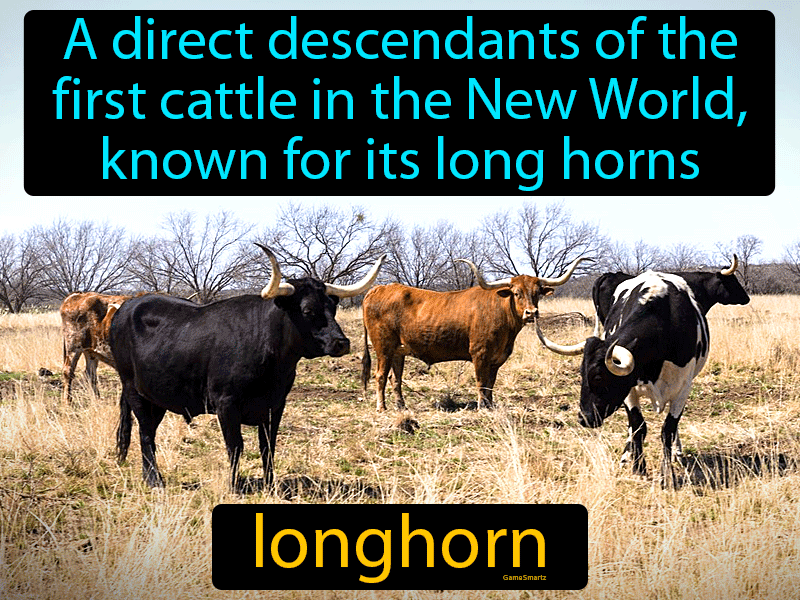 Longhorn Definition