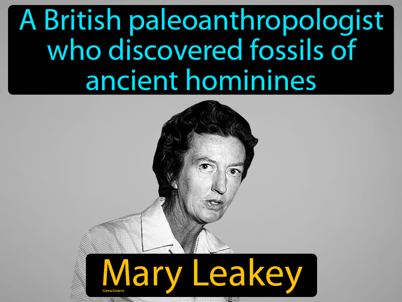 Mary Leakey Definition
