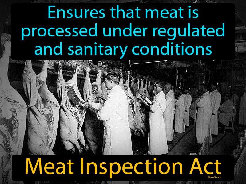 Meat Inspection Act Definition