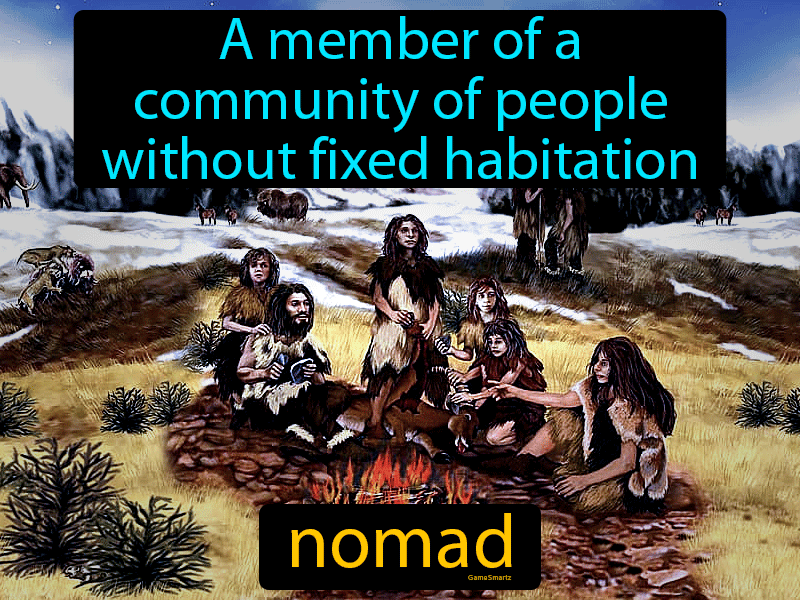 nomadic definition