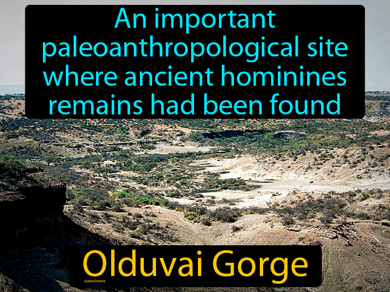 Olduvai Gorge Definition