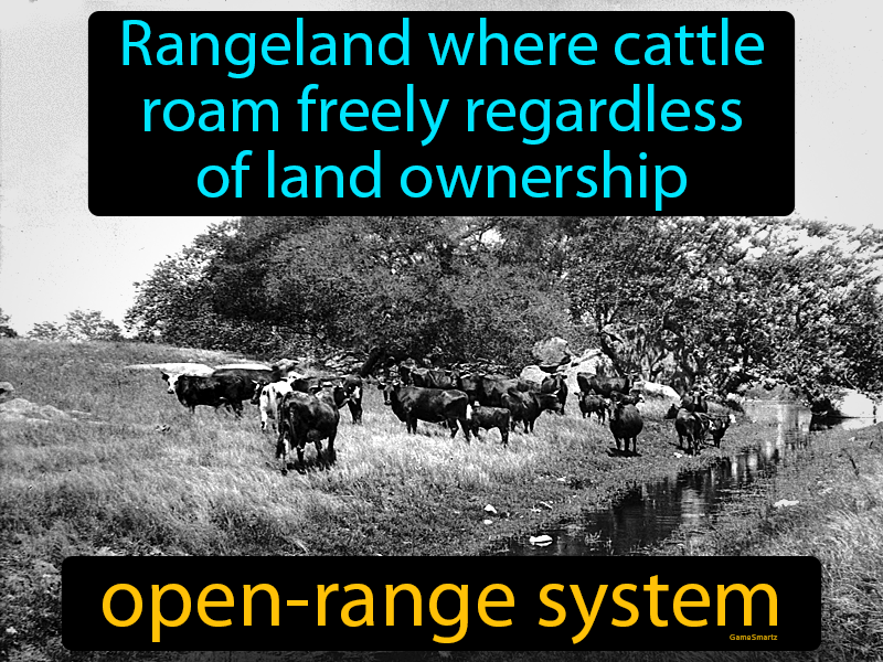 Open Range System Definition