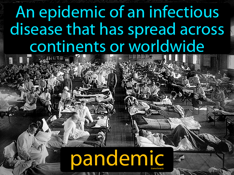Pandemic Definition