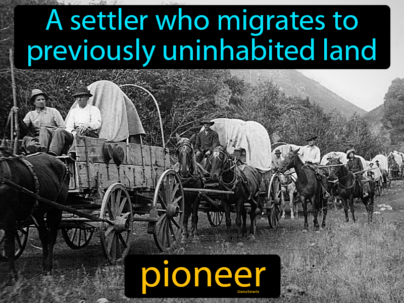 Pioneer Definition