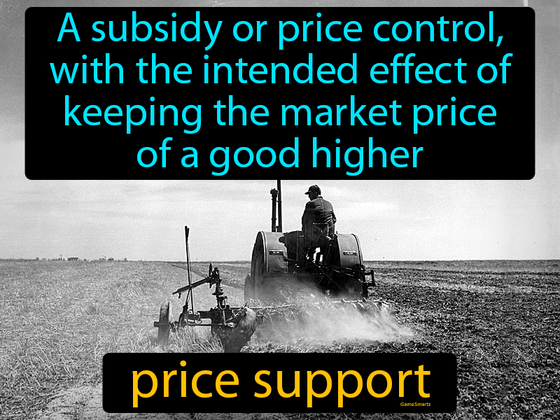 Price Support Definition