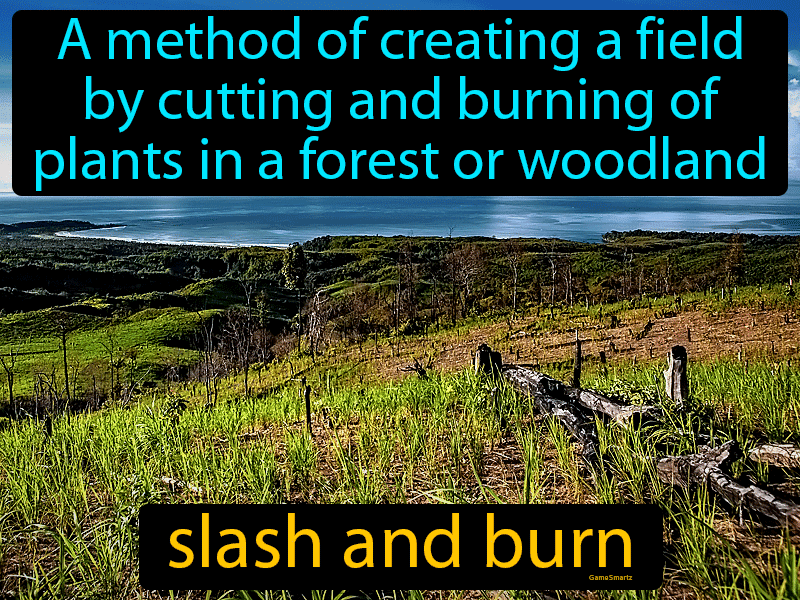 Slash And Burn Definition