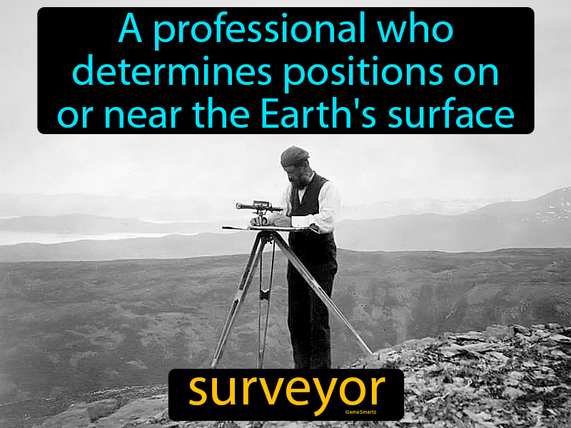 Surveyor Definition