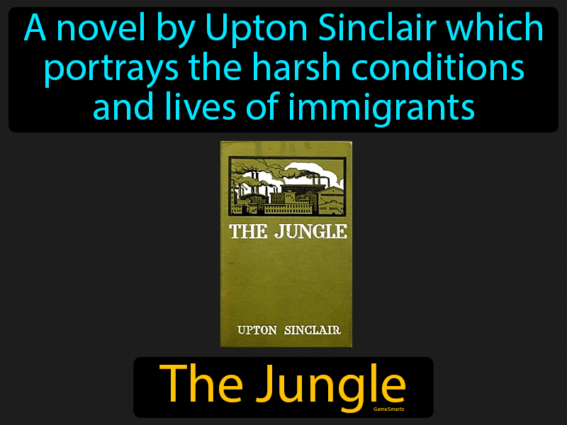 The Jungle Definition