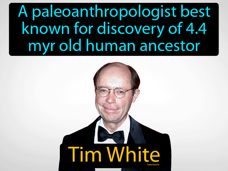 Tim White Definition