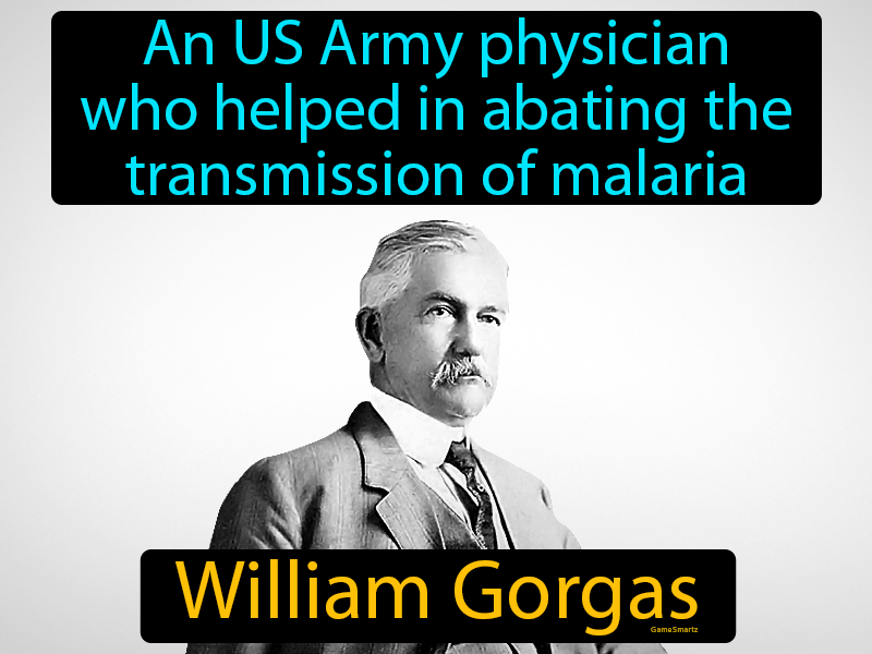 William Gorgas Definition