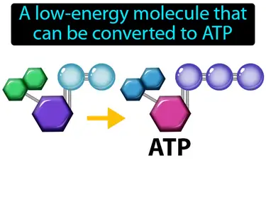 adenosine diphosphate