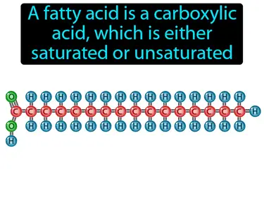 fatty acid