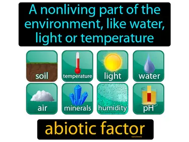 a nonliving part of the environment, like water, light or temperature