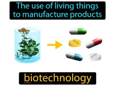 the use of living things to manufacture products