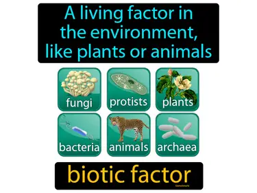 a living factor in the environment, like plants or animals