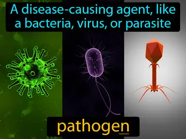 a disease-causing agent, like a bacteria, virus, or parasite