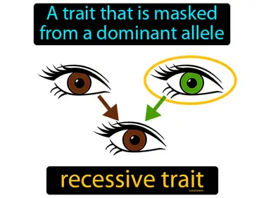 a trait that is masked from a dominant allele
