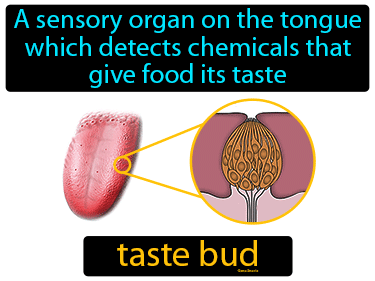 Nervous System - Game Tutor AI