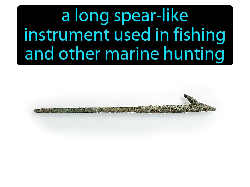 Harpoon Definition Harpoon Definition