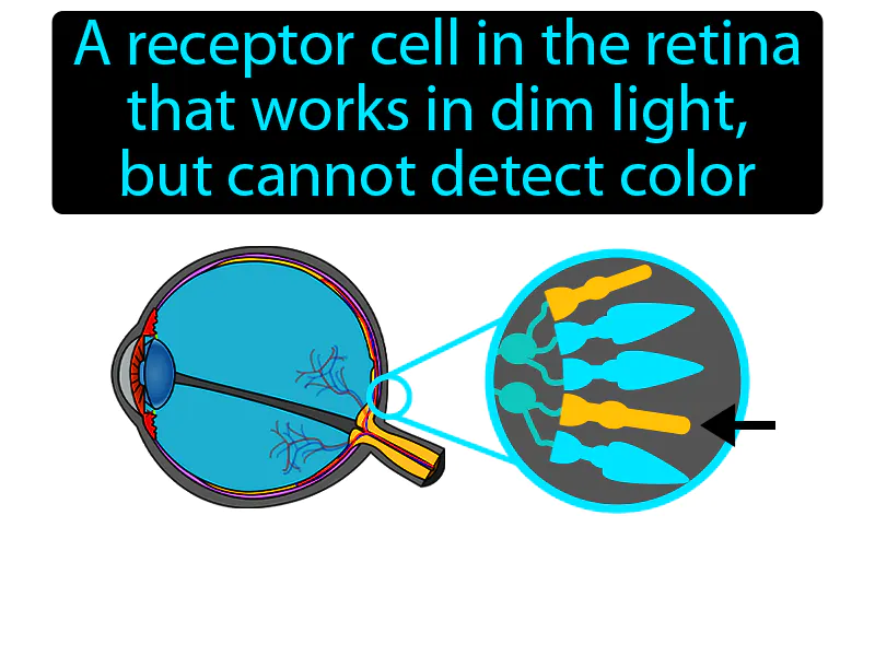 Rod Definition Rod Definition