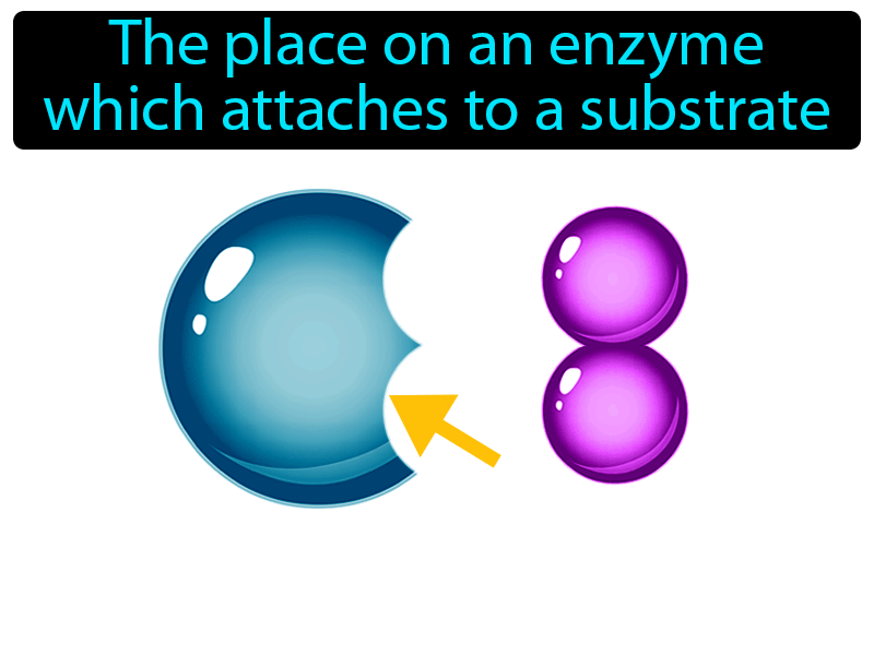 Active Site Definition with no text