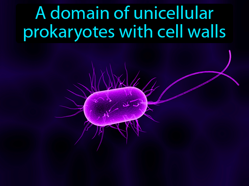 Bacteria Definition with no text