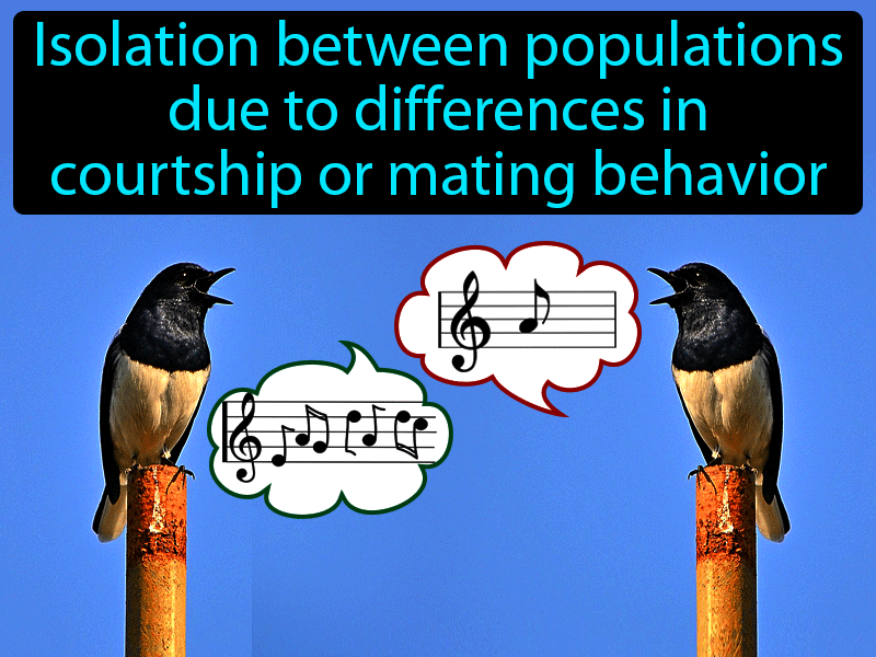 Behavioral Isolation Definition with no text