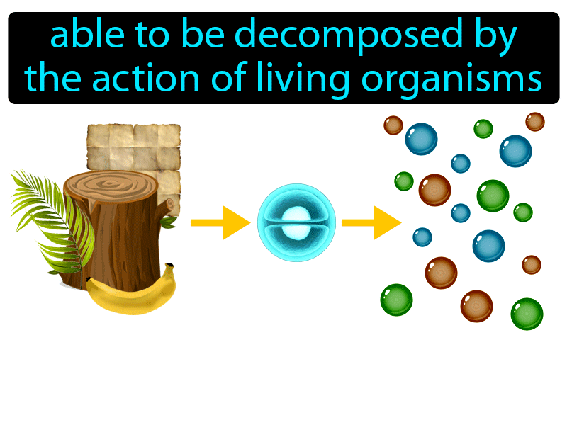 Biodegradable Definition with no text