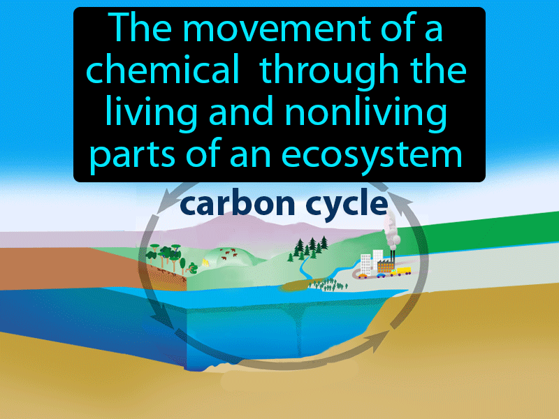 Biogeochemical Cycle Definition with no text