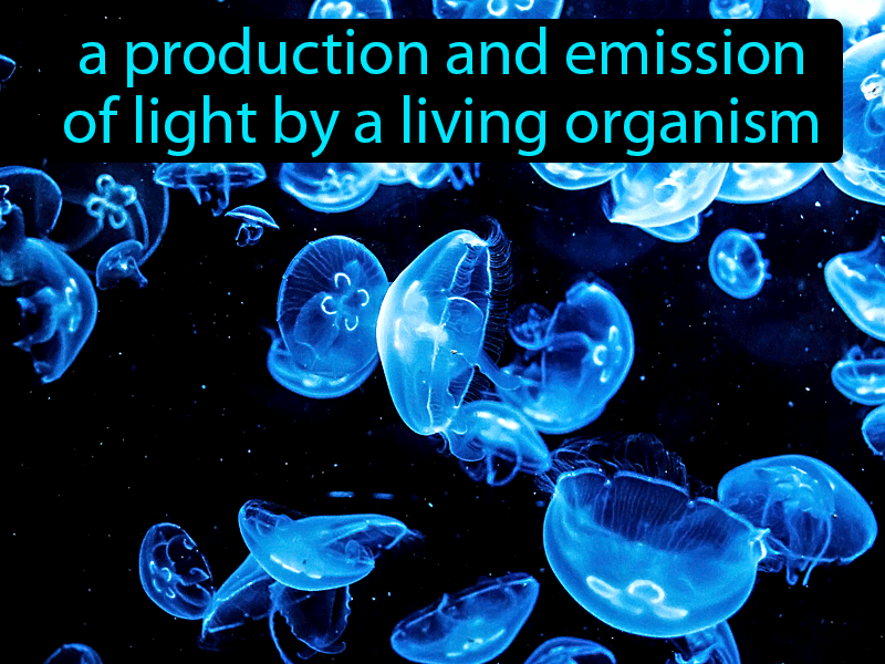 Bioluminescence Definition with no text