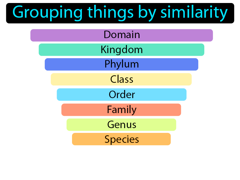 Classification Definition with no text