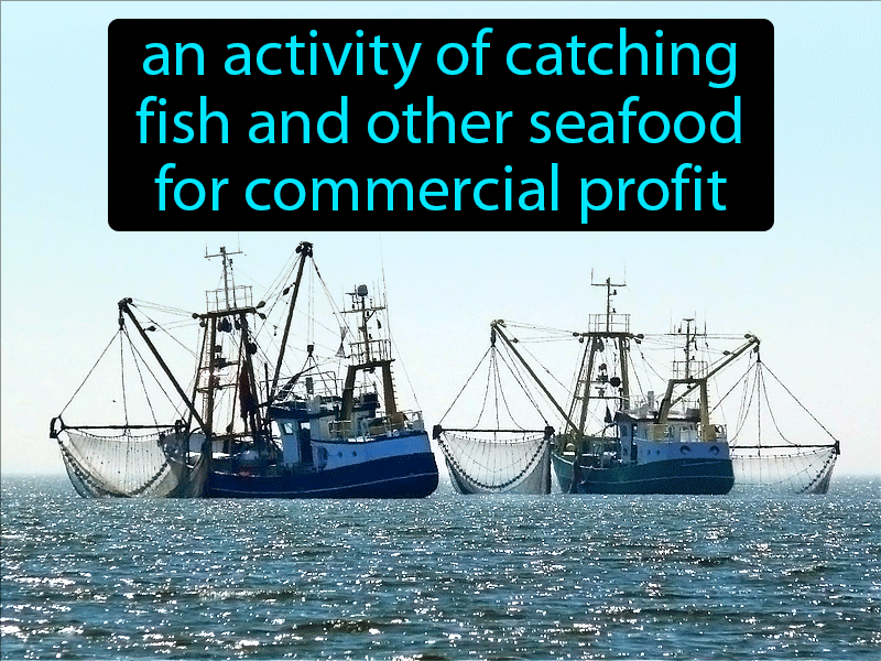 Commercial Fishery Definition with no text