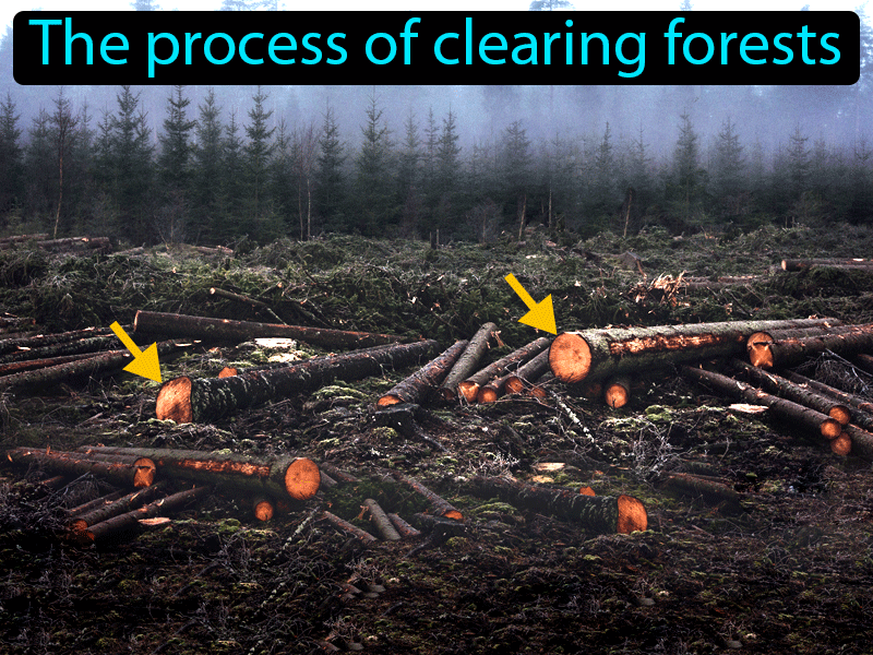 Deforestation Definition with no text