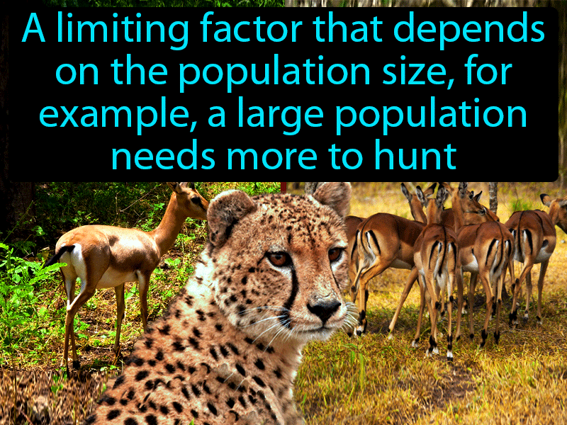 Density Dependent Factor Definition with no text