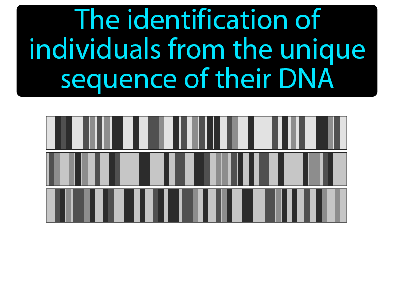 DNA Fingerprinting Definition with no text