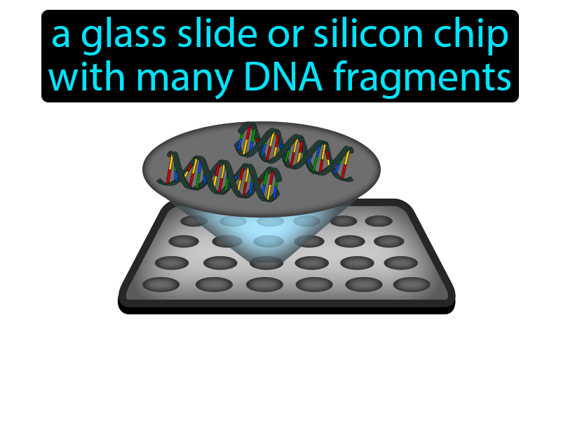 DNA Microarray Definition with no text