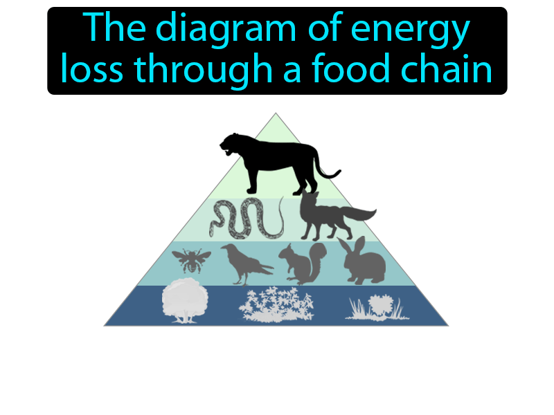 Energy Pyramid Definition with no text