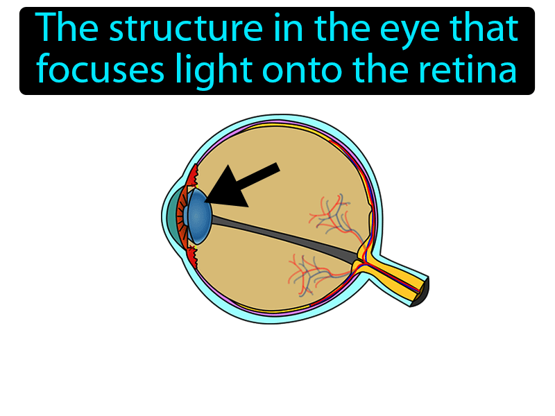 Eye Lens Definition with no text
