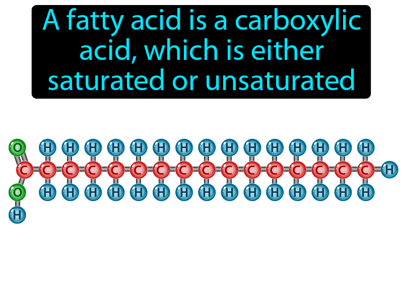 Fatty Acid Definition with no text