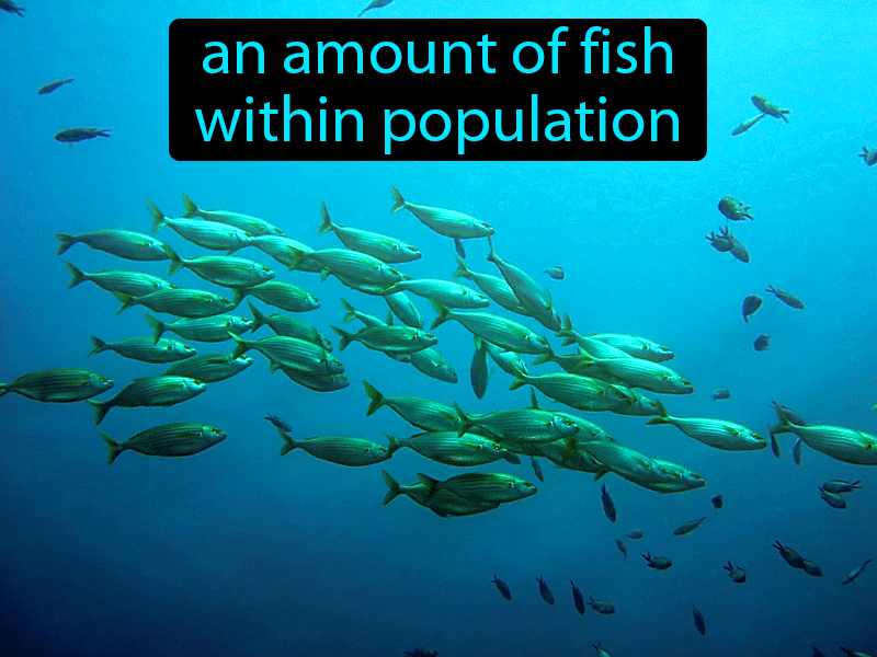 Fish Stock Definition with no text