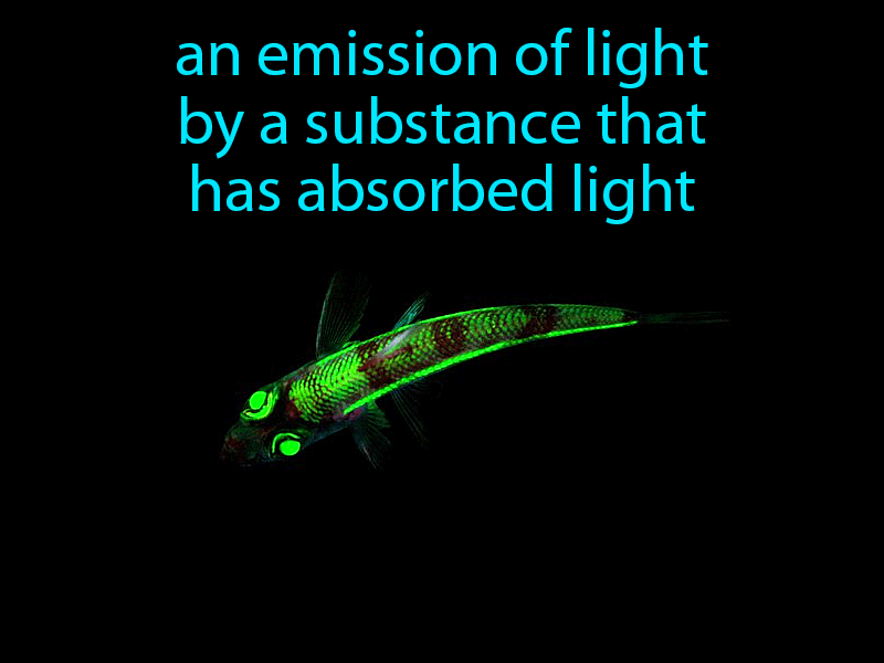 Fluorescence Definition with no text