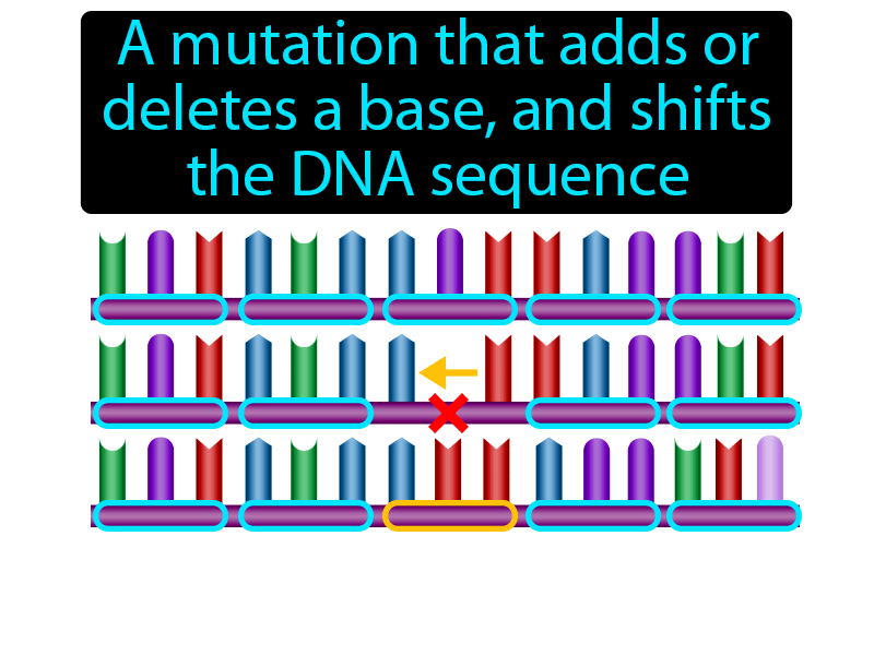 Frameshift Mutation Definition with no text